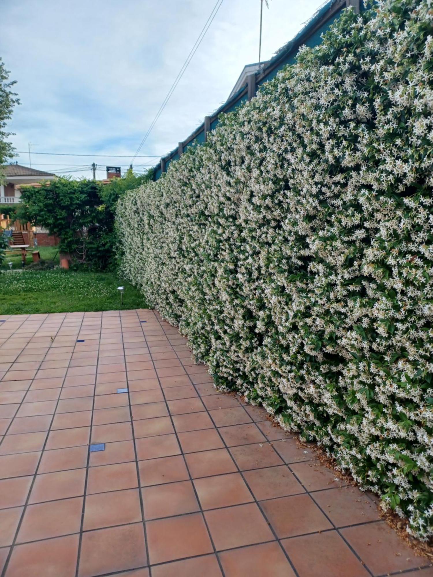 Piscina De Sal Barbacoa Wifi, Parking Gratis, 3 Min Pga Casa El Roble Villa Girona Exterior photo